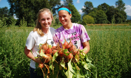 Row Crops 