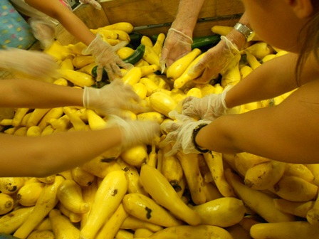 CullsforCommunitysquashsort.jpg